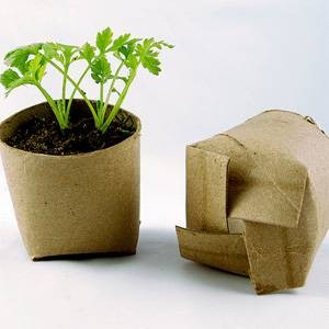 10 Free Resources For Garden DIY & Upcycling Inspiration