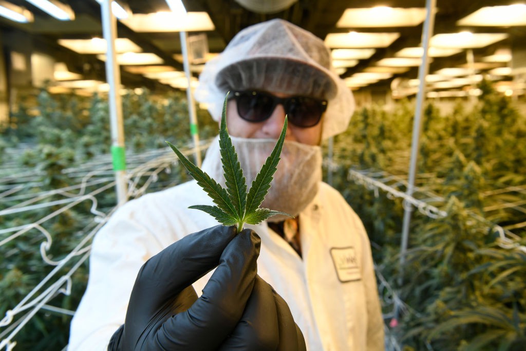 Cannabis Industry Outlook: What's Next After 2020?