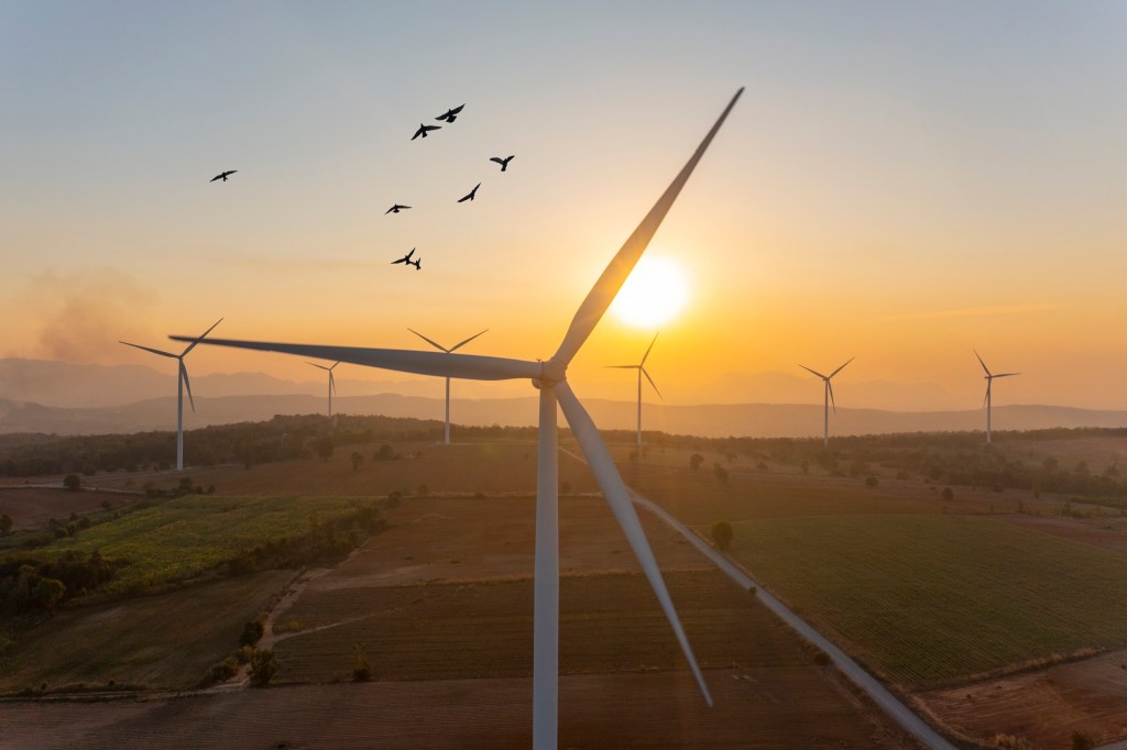 Climate Tech and AI in 2025: A Synergistic Future