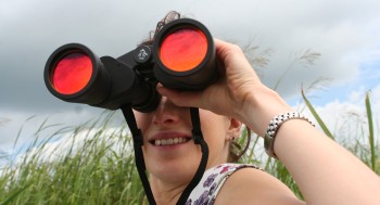 3 Smart Visual Search Engines To Find The Images You Want