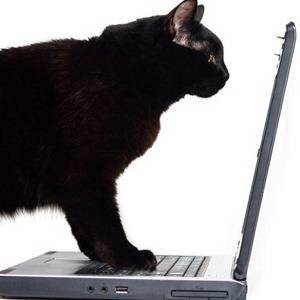 Prevent Computer Eye Strain: 4 Productivity-Boosting Tips