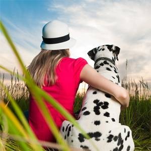 5 Best Animal Rescue Sites To Find Your Next Pet
