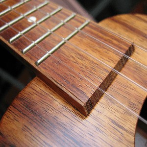 5 Fantastic Web Resources for Ukulele Players