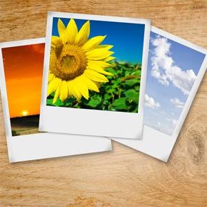 5 Best Free Nature Galleries for Stunning Photos
