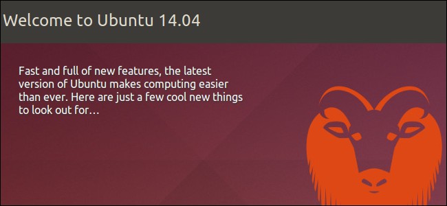 Ubuntu 14.04 LTS: 5 Essential Things to Know