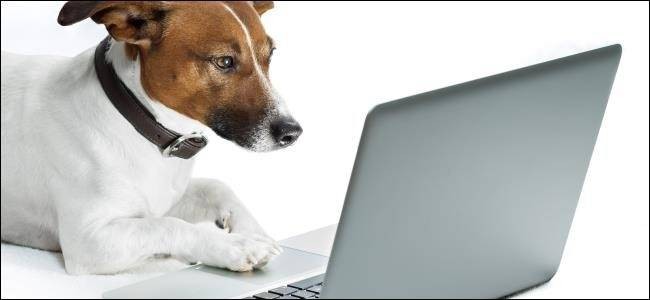 Separate Web Browsing Environment for Guests - 5 Methods