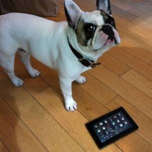 6 Reasons To Avoid The BlackBerry PlayBook