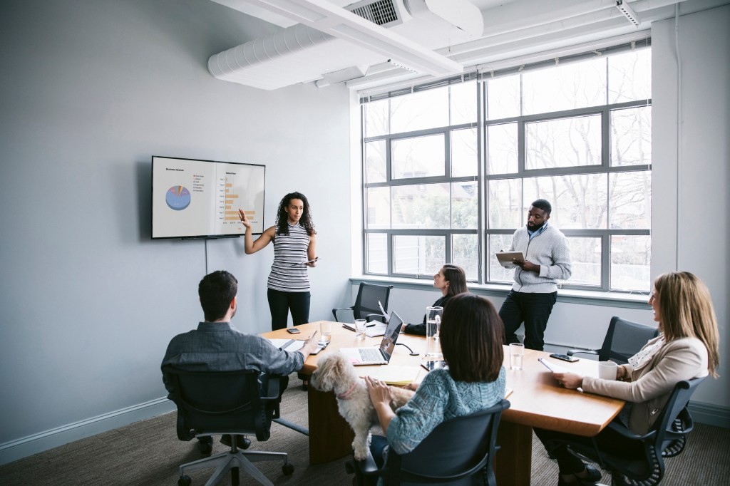 Effective Startup Board Meetings: 6 Key Strategies