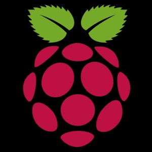 7 Reasons To Get A Raspberry Pi