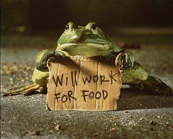 8 Best Sites For Funny Computer Desktop Wallpapers
