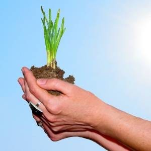 8 Ways to Contribute to Open Source Without Coding