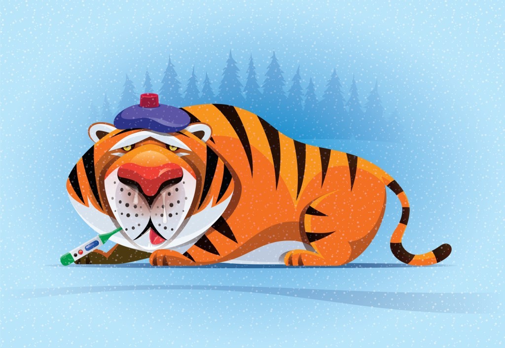 Tiger's Fund Performance: New Disclosure Reveals Poor Results