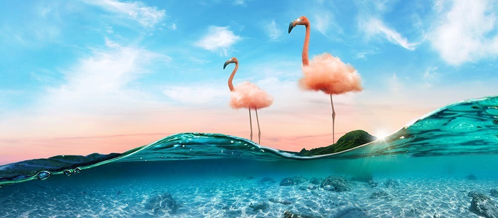 Adobe Photoshop AI: Neural Filters, Sky Replacement & New Features