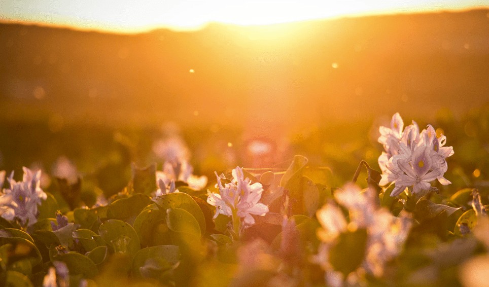 affect Raises Seed Funding for Stimulant Abuse Recovery