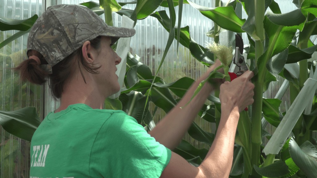 AgBiome Secures $116M Funding for Crop Protection Technology