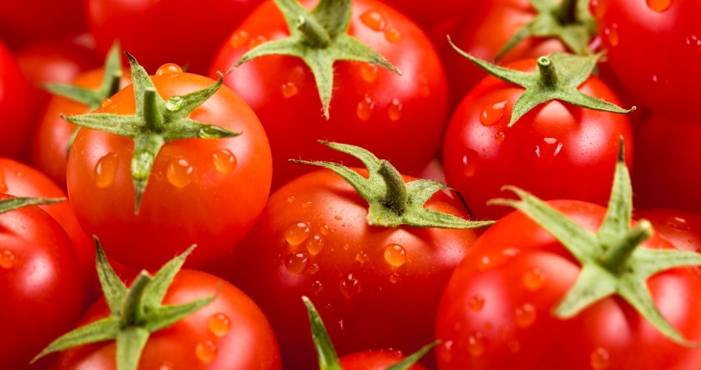 Zomato India: All Eyes on India's Leading Food Delivery App