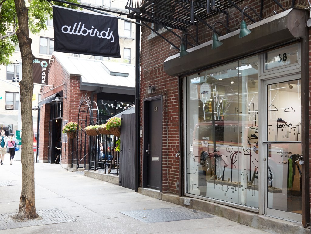 Allbirds IPO: Pricing Above Range Signals DTC Success