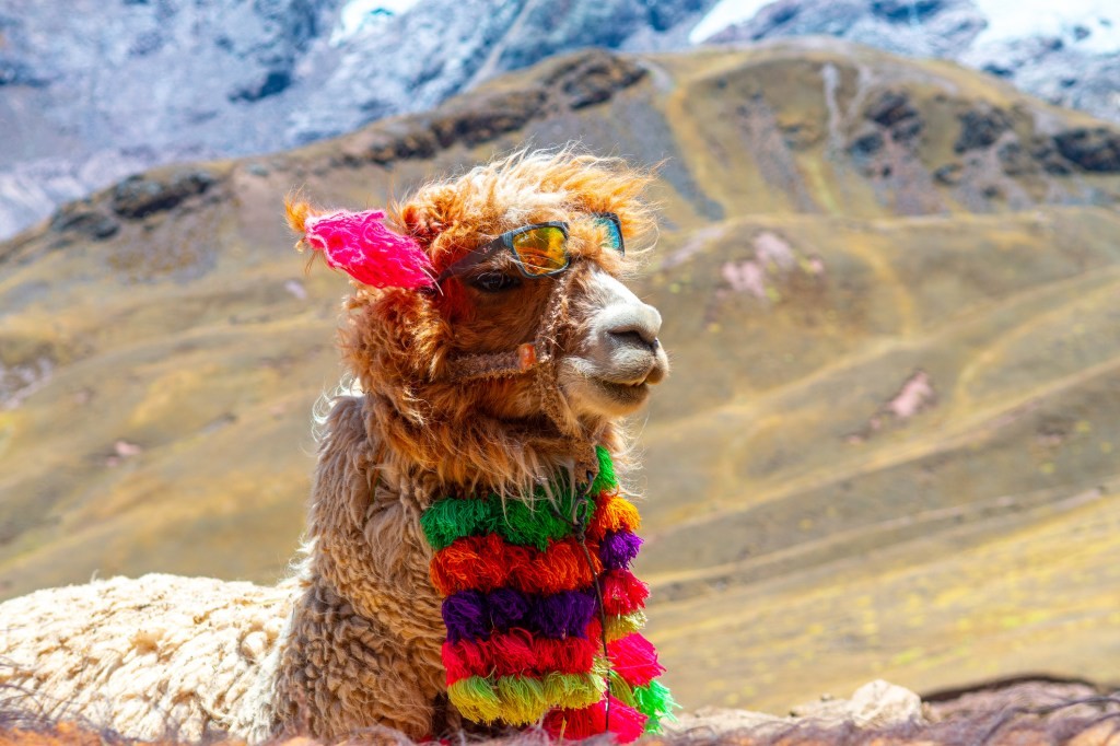 Alpaca Raises $52M Series C to Expand API Brokerage Platform