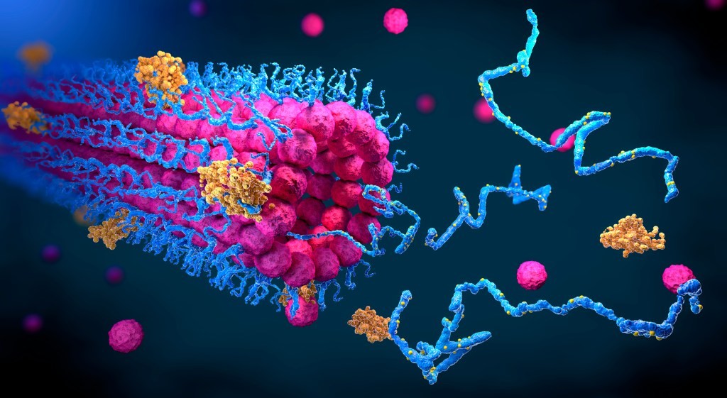 DeepMind AI Breakthrough: Historic Protein Structure Prediction