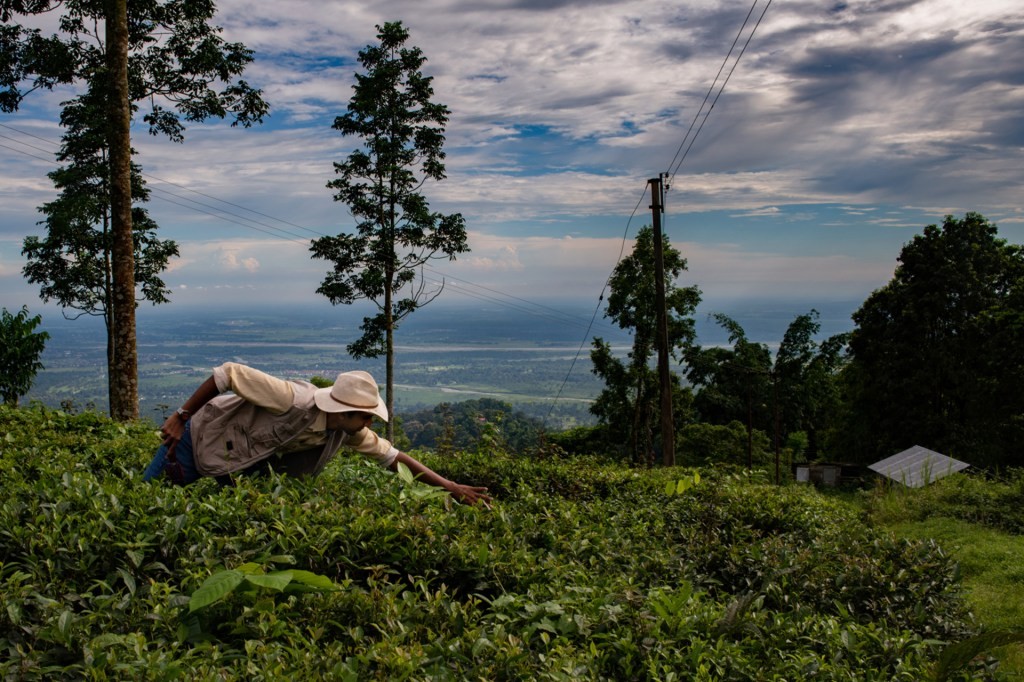 Alt Carbon Raises $12M Seed Funding for Carbon Removal in India