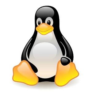 Linux Commands: A-Z Guide to 40 Essential Commands