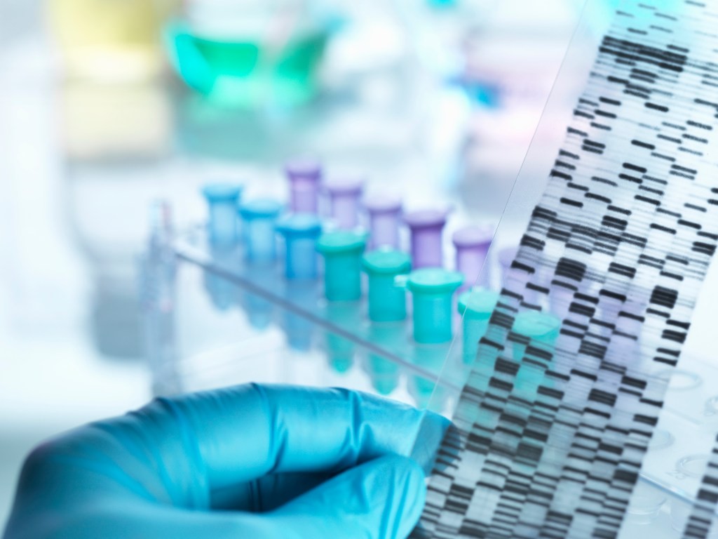 Accelerator Gives Voting Rights to Scientist Founders