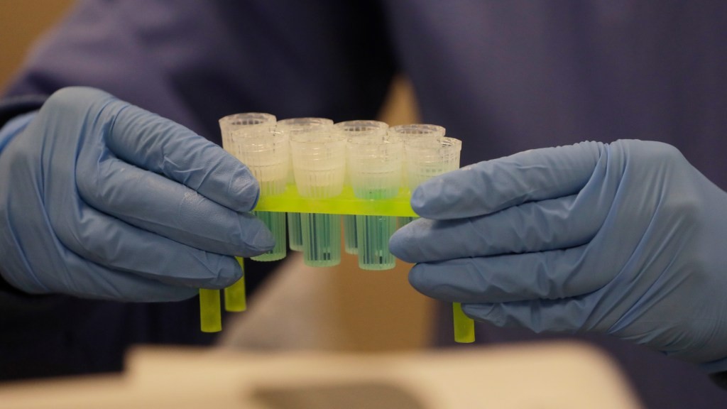Ancestry DNA Database: Fighting Police Search Requests