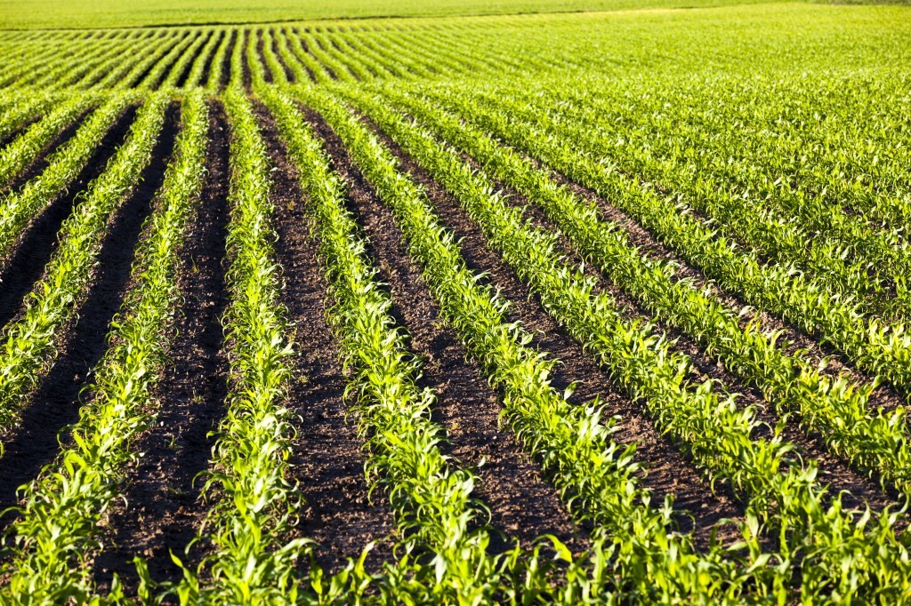 Anuvia Raises $103 Million for Innovative Fertilizer Technology