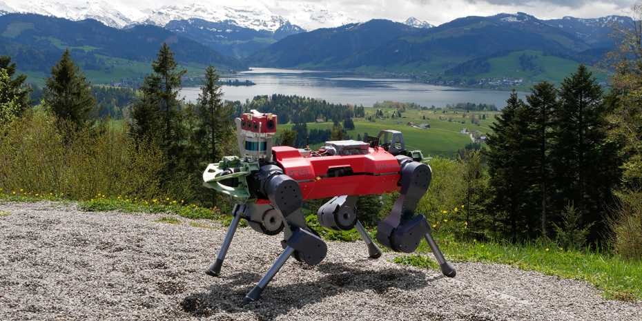 ANYmal Robot Hiking: A Quadrupedal Adventure