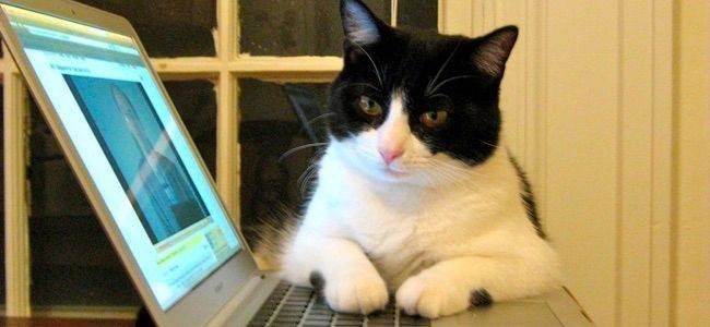 Mac Password Security: Prevent Unauthorized Access