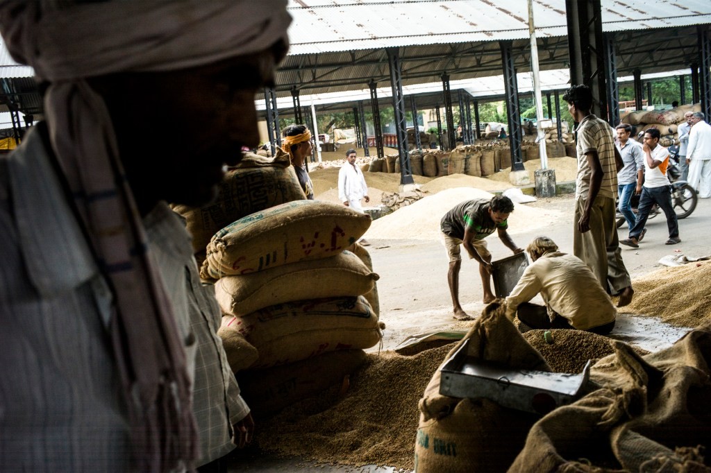 Arya Raises $21M to Empower Indian Farmers | Finance & Post-Harvest