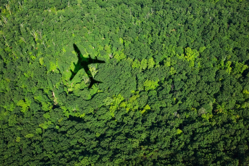 Pachama Raises $15M for Verified Forest Carbon Offsets