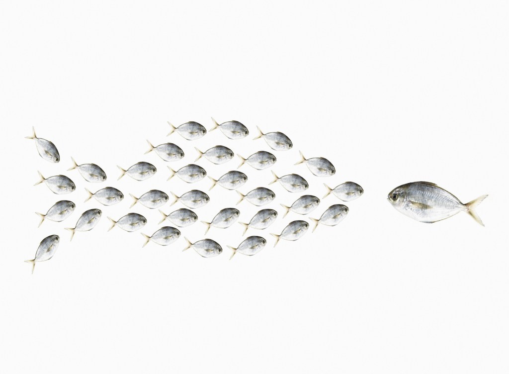 Startup Recruitment in a Reopening Economy