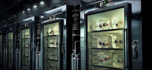 Storing Batteries in the Fridge: Does it Really Work?