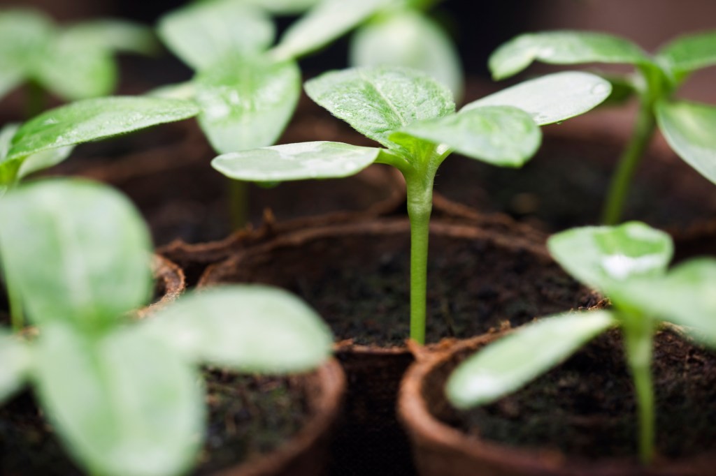 One Ventures Launches New Fund for Climate Tech Startups