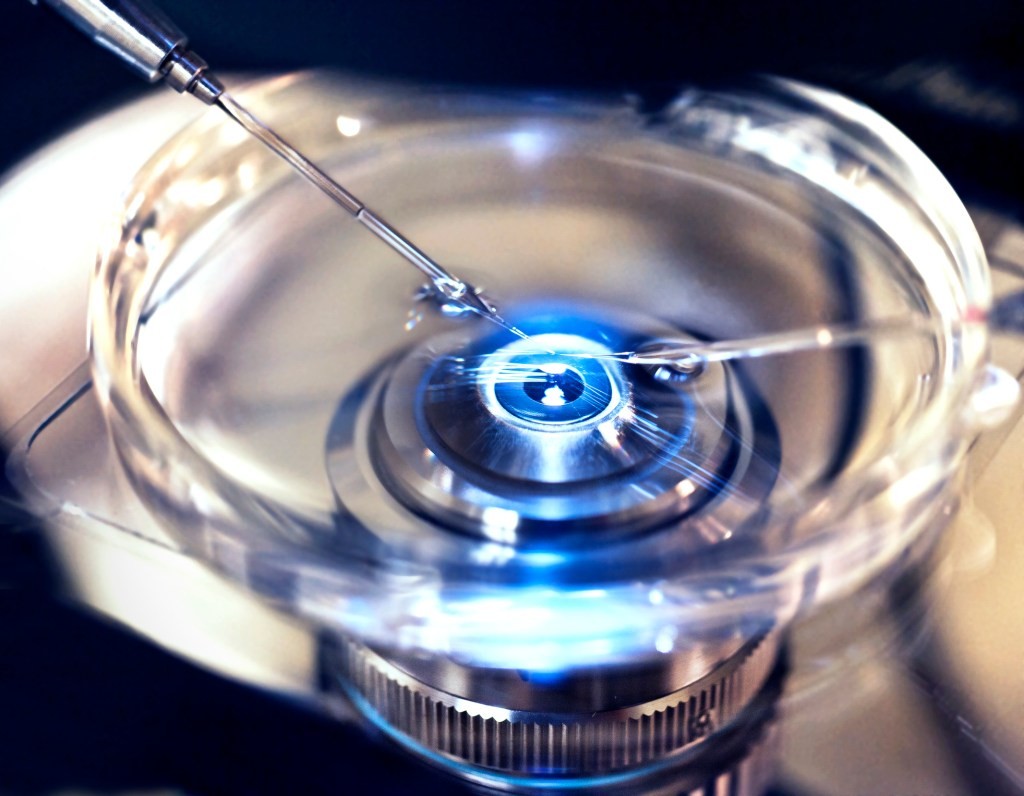 Genea IVF Cyberattack: Data Breach Confirmed - Details
