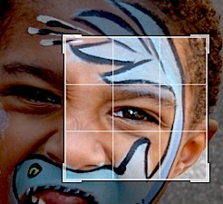 Photo Cropping Basics: A Beginner's Guide