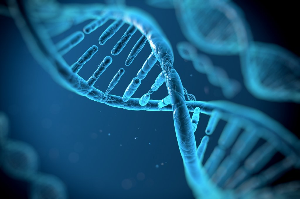 Nephrogen: AI & Gene Therapy for Kidney Disease | TechCrunch Disrupt 2025