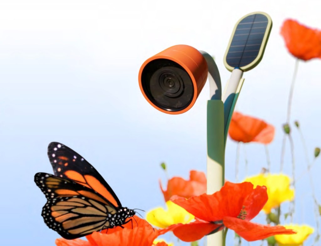 Bird Buddy Launches Wonder Line for Insect Lovers