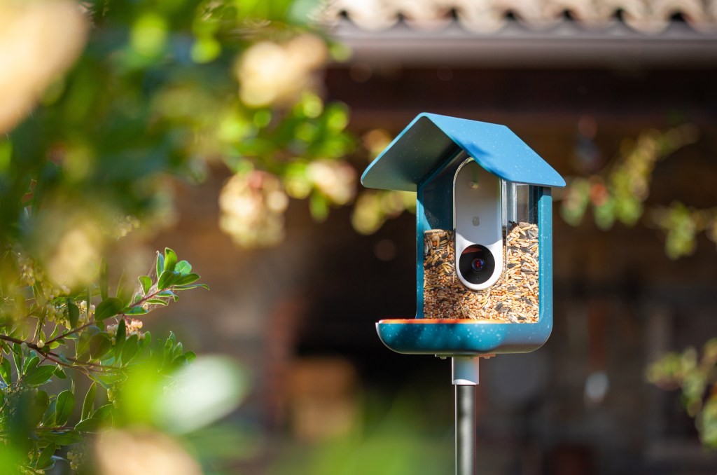 Bird Buddy Secures $8.5M Funding for Smart Bird Feeder Technology