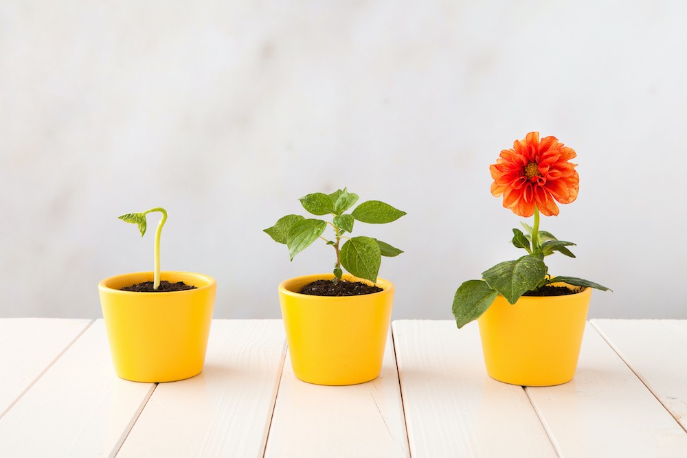Black Innovation Alliance & Village Capital Partner for Founders of Color