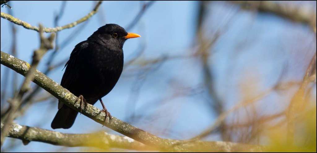 Blackbird.ai Raises $10M to Fight Brand Disinformation