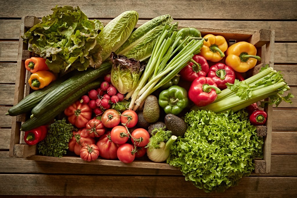 Simple Feast: Chef-Crafted Vegetarian Meal Kits Now in the US