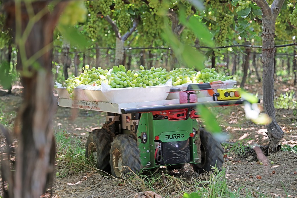 Burro Raises $10.9M to Automate Farm Produce Transport