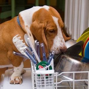 2 Powerful Apps to Conquer Household Chores - Android