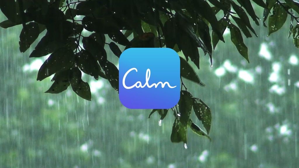 Calm's CNN Ad Campaign Drives App Store Success