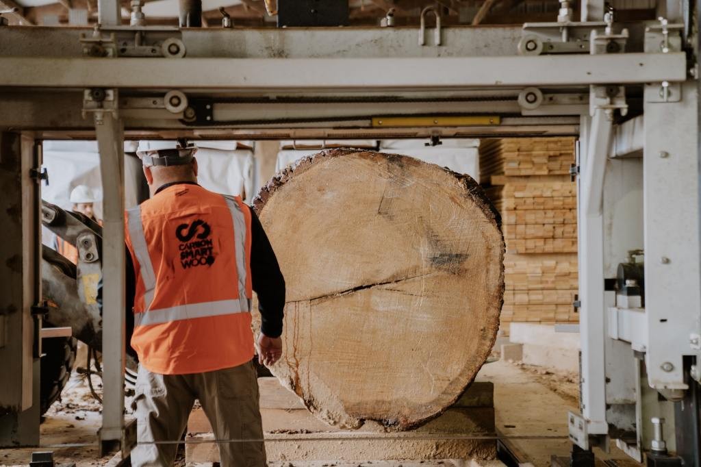 Cambium: AI Transforming Wood Waste into Lumber