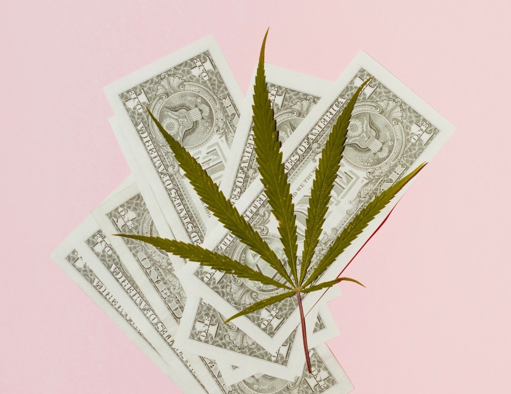 Leafly Going Public: Cannabis Giant to Merge with SPAC
