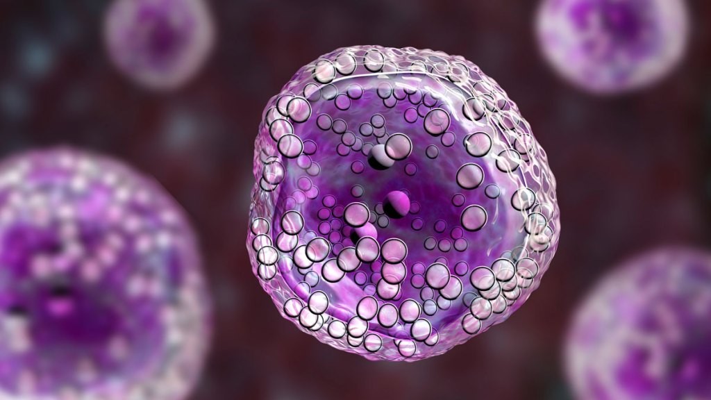 Cellino: Scaling Stem Cell Therapies with AI & Machine Learning
