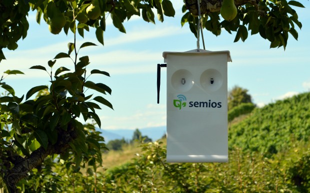 Semios Raises $100M to Tackle Climate Volatility in Agriculture